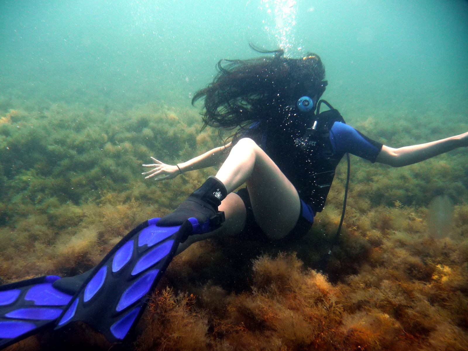 Life is diving. Дайвинг девушка. Девушка аквалангист. Аквалангист под водой. Девушки красивые с аквалангом.